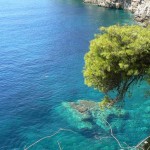 Plaża Drażica - jedna z najlepszych plaż w Chorwacji chorwacja