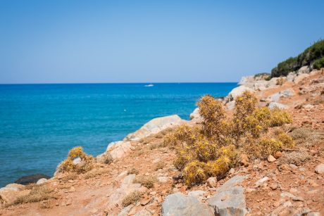 Kreta