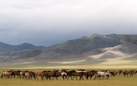 mongolia
